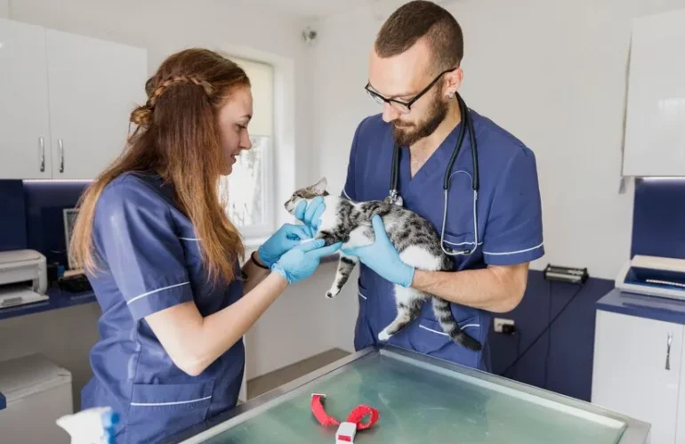 KSEDCO Medium Shot Veterinarians Helpin installation for Georgia facilities